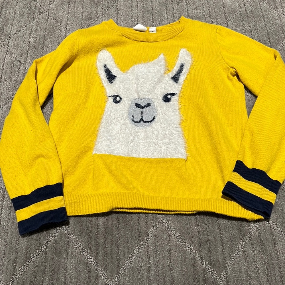 Girls sweater